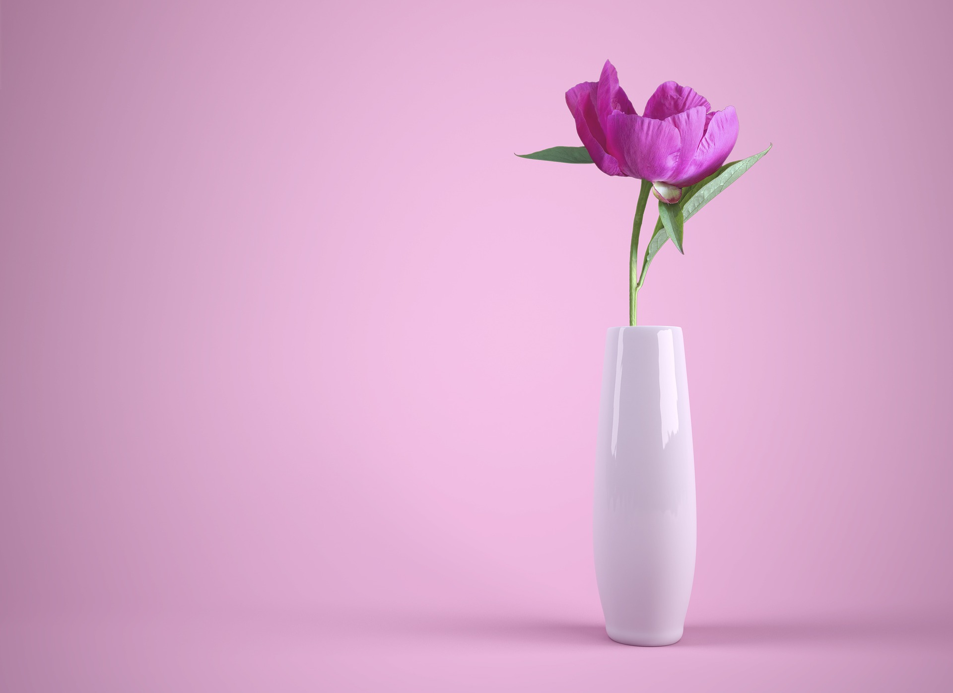 Eine wunderschöne Vase samt Blume. Dankeschön sagt Ihr Coaching Institut Frankfurt.