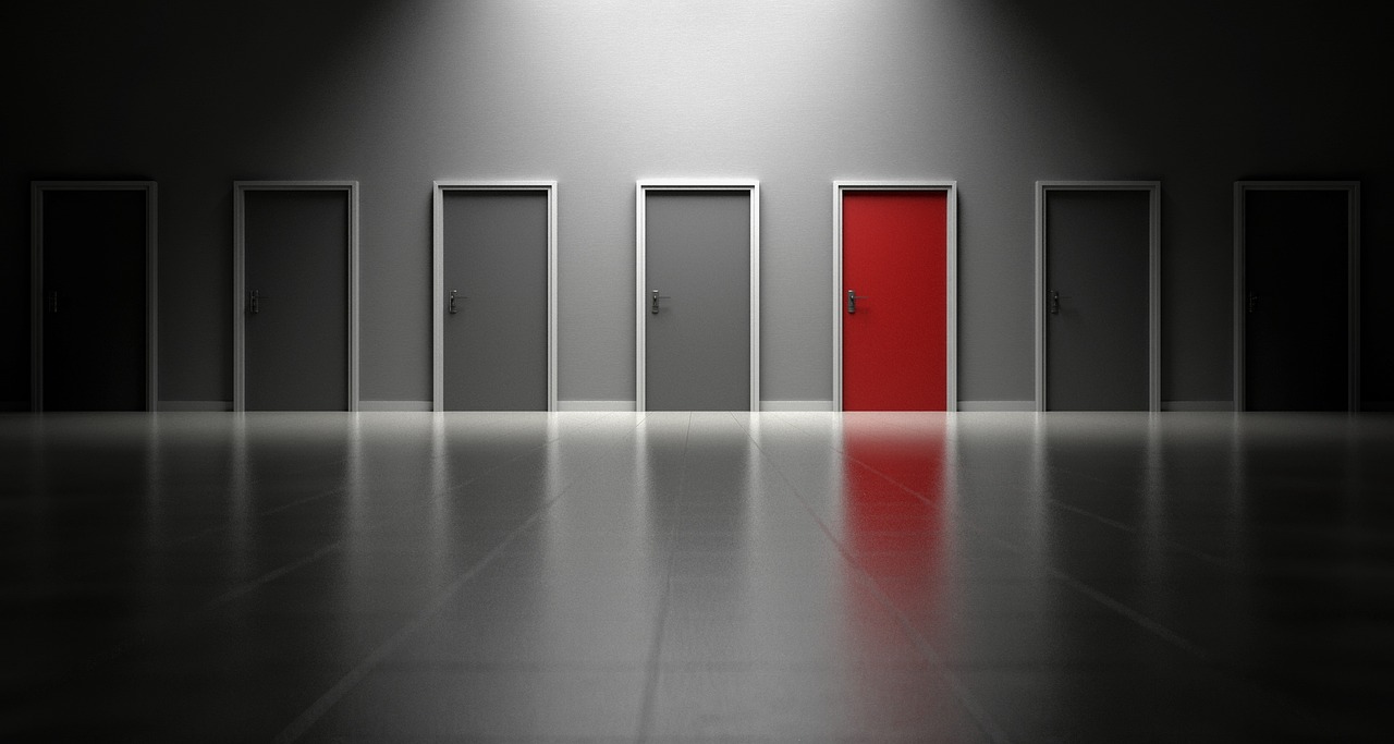 Einen Auswahl an grauen Türen. Nur eine Tür ist rot. Coaching für Entscheidungsfindung.